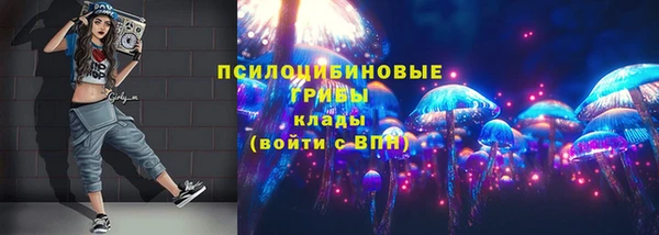 МДМА Медвежьегорск