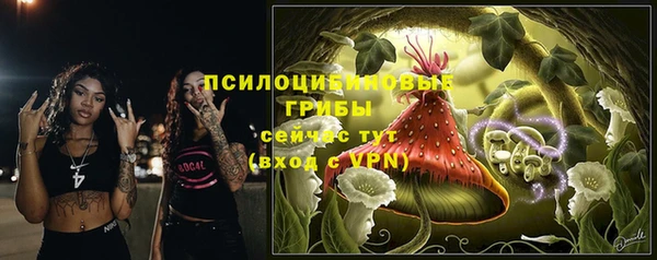 2c-b Мегион