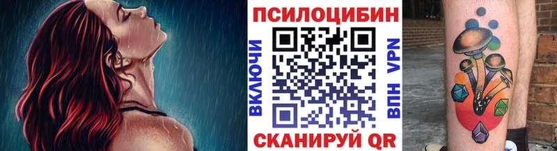 Галлюциногенные грибы GOLDEN TEACHER  цены наркотик  площадка клад  Апатиты 