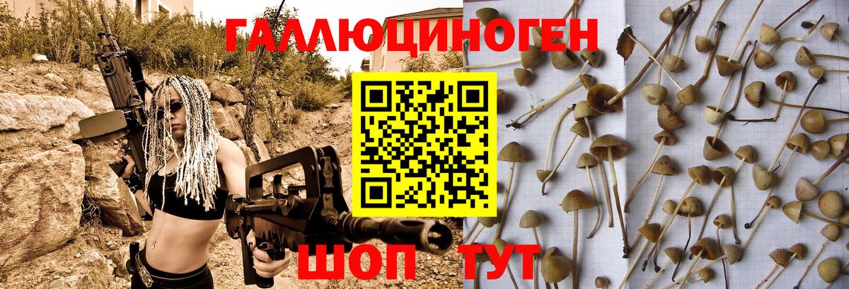 Псилоцибиновые грибы ЛСД  Вход с VPN  Апатиты 