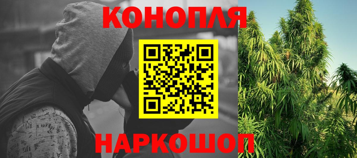 Марихуана план  Шишки марихуана OG Kush  Апатиты  Каннабис Ganja  МАРИХУАНА план 